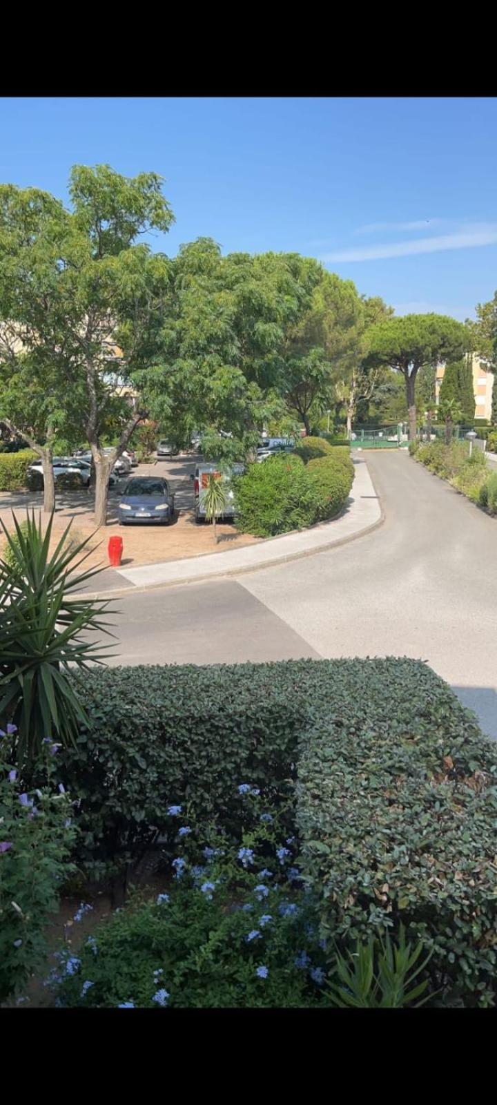 Spatieux T2 Avec Piscine Apartment *