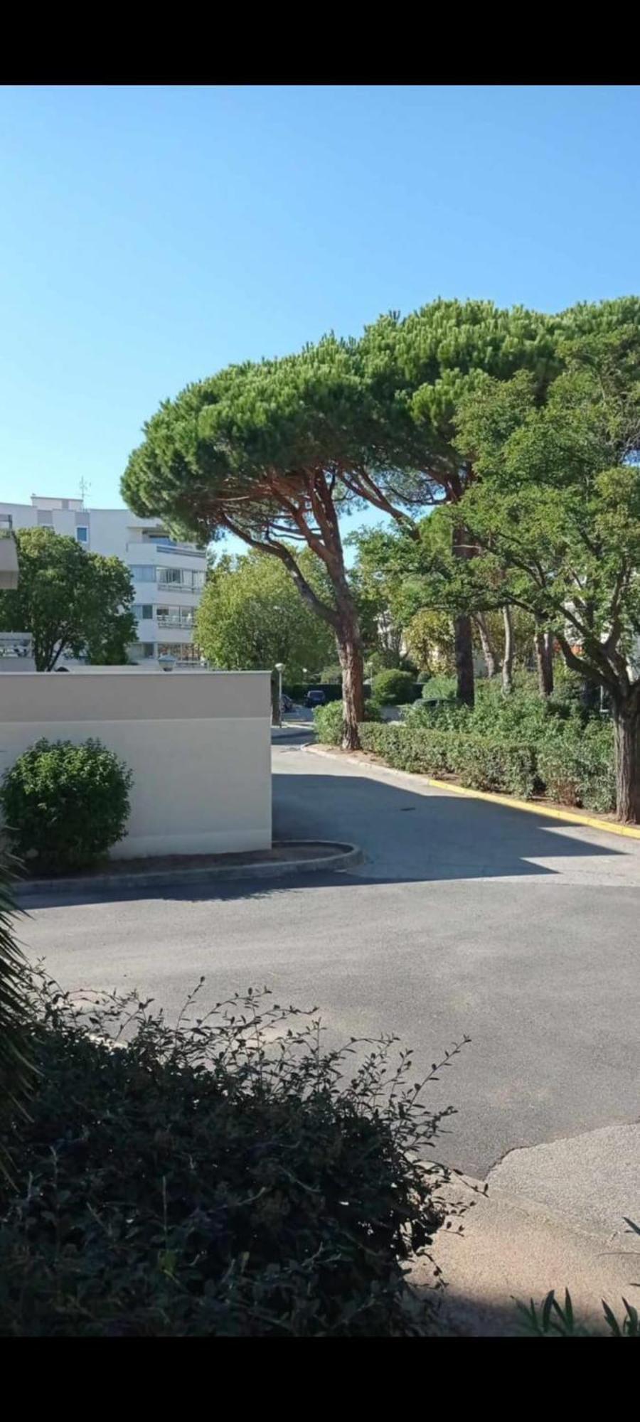 Spatieux T2 Avec Piscine *